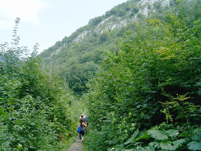 2010.07.24. 025.jpg